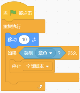 选项D脚本