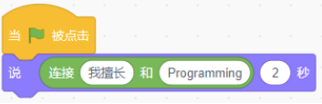 Scratch积木选项B