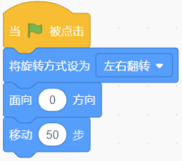 选项B