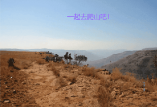 背景添加文字效果图