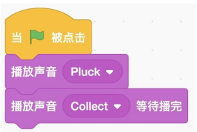 Scratch积木：当绿旗被点击后依次执行「播放声音 Pluck」「播放声音 Collect 等待播完」