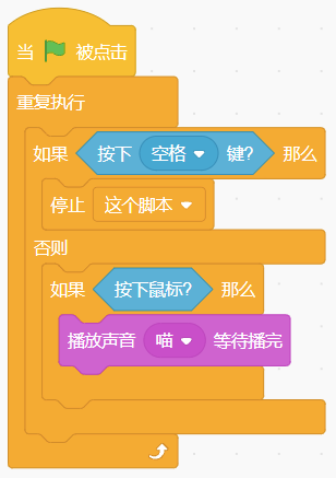 选项B程序