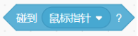 选项B