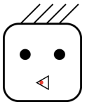 选项D