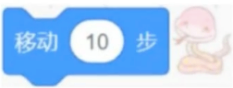 选项B