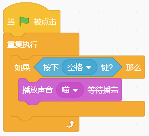 选项D程序