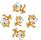 选项A的舞台效果