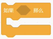 选项D代码块