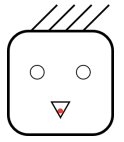 选项B
