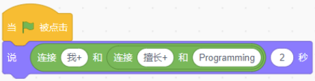 Scratch积木选项D
