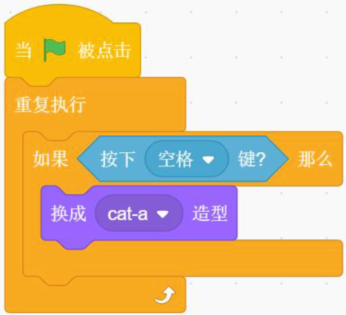 选项A