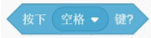 选项C