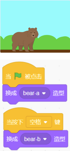 Scratch代码块：绿旗点击时切换为bear-a造型，按下空格键时切换为bear-b造型