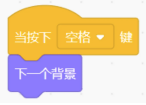 选项D积木