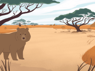 棕熊初始舞台位置图