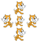 选项C的舞台效果