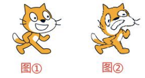 小猫状态对比：图①为默认正常状态，图②为目标变形状态