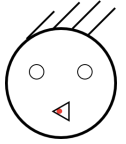 选项C