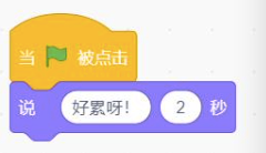 选项B