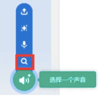 选项D