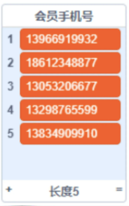 会员手机号列表示例