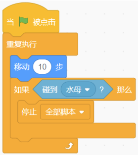 选项C脚本