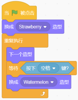 程序代码块