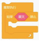 选项C代码块